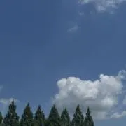 みみの画像