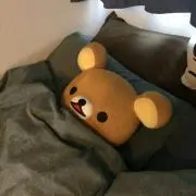のんたんの画像