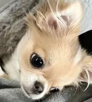 y！！！の画像