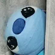 つなの画像
