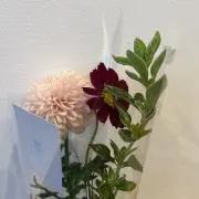 moooの画像