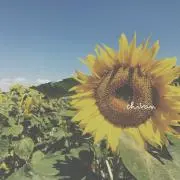 chitan◎の画像