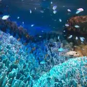 かえで☆基本土日発送の画像