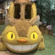 towaの画像