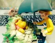ロボの画像