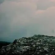 yoRuの画像