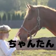 ちゃんたん (プロフ読むとお得☆)