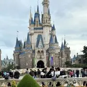 智也の画像