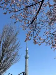 ちいの画像