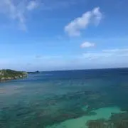 aoの画像