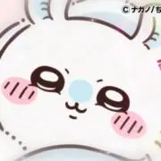 めの画像