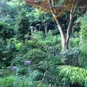 Hacha♪【断捨離中】の画像