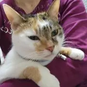 nanitikiの画像