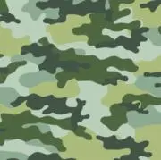 lillillilの画像