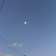 ゆとりの画像