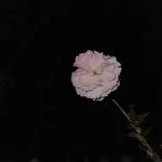 璟煜堂の画像
