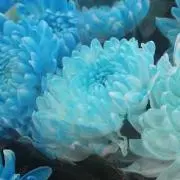 N Ri