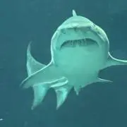 EH107の画像