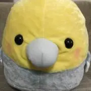 ふみふみ