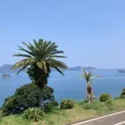 礼子 黒木の画像