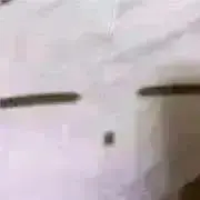 タケルの画像