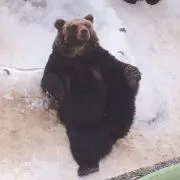 だしの画像