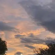 ニコ