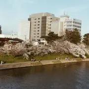 Yukuyuku41の画像