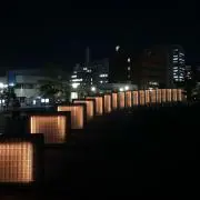 まーさんの画像