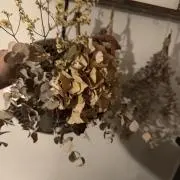 野菜生活の画像