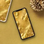 お金への感謝の画像