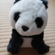 サリー