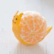 きいろの画像