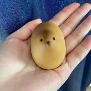 ぴなこ