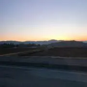 マムの画像