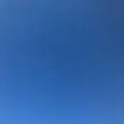 コスモスの画像