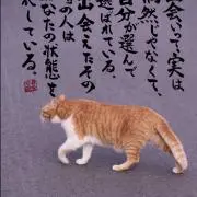 息吹