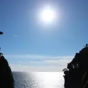 ほめの画像