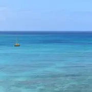 えだまめの画像