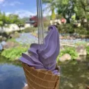 ラプンツェルの画像