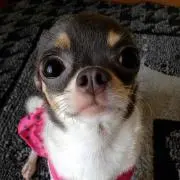 さがちゃん