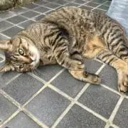 itの画像