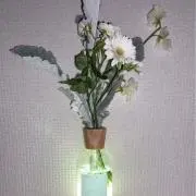 yukaの画像