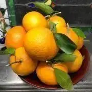こなつ8/7〜14発送できませんの画像