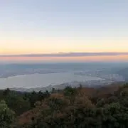 柑橘ごはんの画像