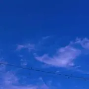 rinrinrinの画像