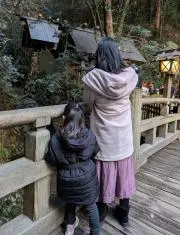 てんとう虫の画像