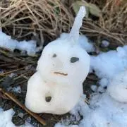 とまとんの画像