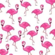 riicoの画像