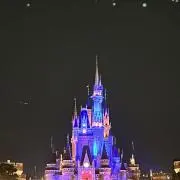 chi☆の画像